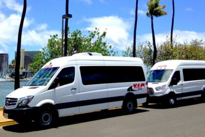 Arrival Shuttle: Kahului Airport(OGG) to Hotels &Private Residences -Maui Island - Optional lei greeting: fast, friendly, and very Maui