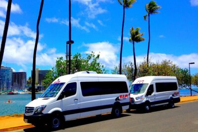 Departure Transfer: Airport Shuttle Honolulu and Waikiki or Cruise Terminal - Meet the Greeter at HNL, Then Get to Your Van Quickly