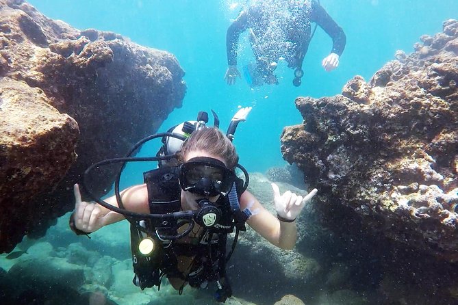 First-Time Scuba Diving in Honolulu + Free Videos - Gear fitting, mask rules, and staying comfortable fast