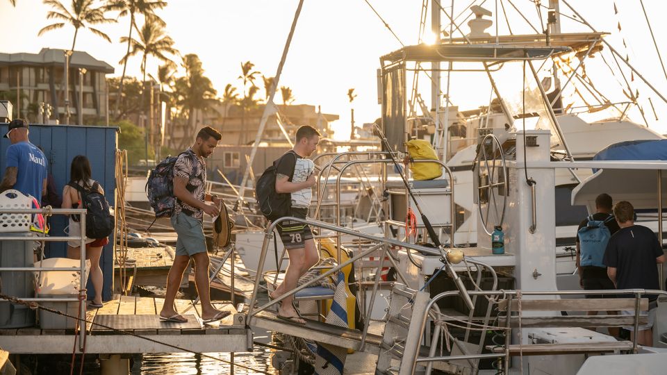 From Ma'alaea: Afternoon Whale Watch Tour Aboard the Malolo - From Boss Frog’s to Slip 87: Your 2-Hour Whale-Watching Rhythm
