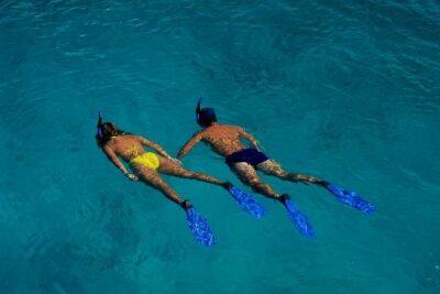 Half Day Oahu Combo Adventure: Bike, Sail and Snorkel - Tantalus bike route: the 5-mile downhill that most people remember
