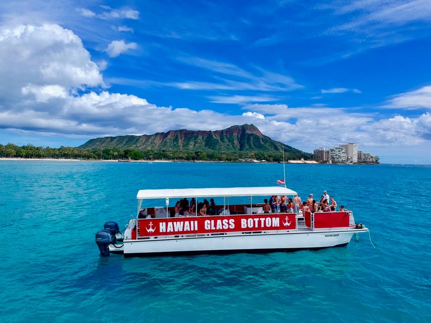 Honolulu: Glass Bottom Boat Tour along Oahu's South Shore - Wildlife Highlights: honu turtles, eels, reef sharks, and dolphins