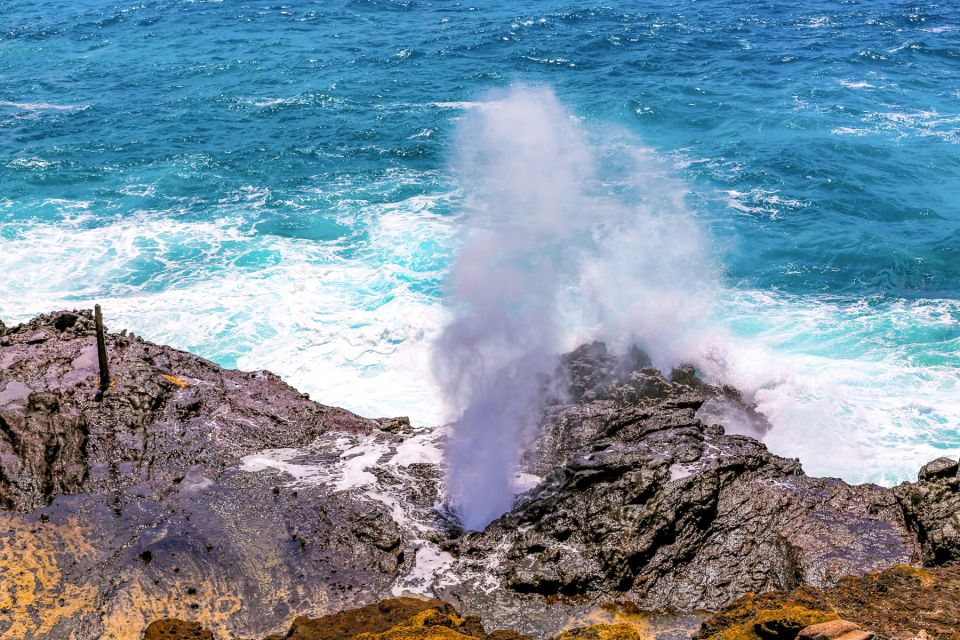 Honolulu: Oahu Sights and Bites Circle Island Foodie Tour - Diamond Head Lookout and Poi Donuts: The Morning Hit of Oahu