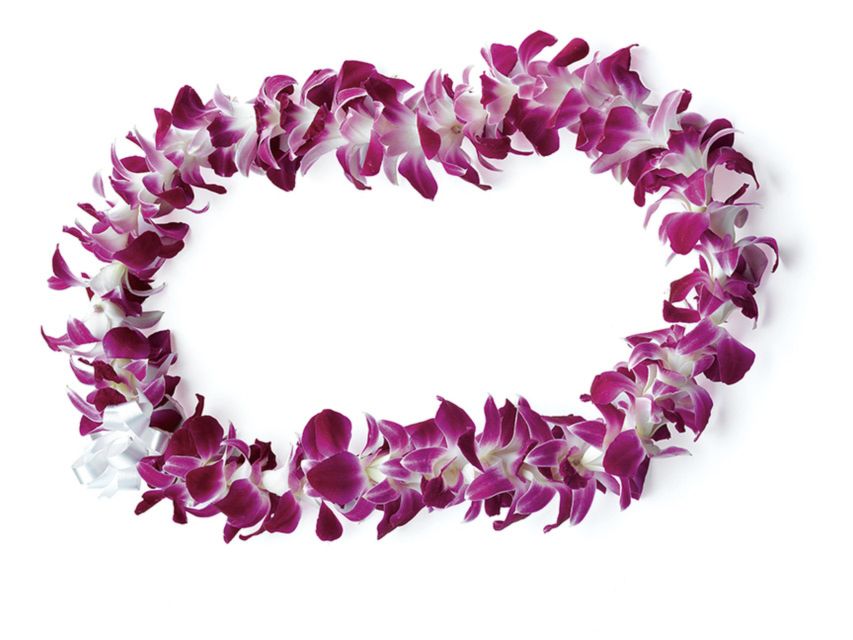 Honolulu: Private Airport Transfer with Arrival Lei Greeting - The Pre-Arrival Text That Keeps Your Pickup Under Control