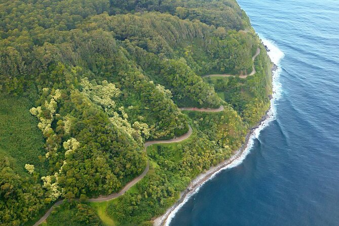 Jungle Waterfall Adventure on Maui - Key things you’ll notice right away