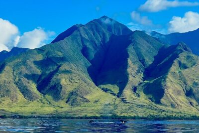 Kayak & Turtle Town Snorkel(Turtles Guaranteed) + Whale Watching - Turtle Town snorkel: the “natural spa” moment