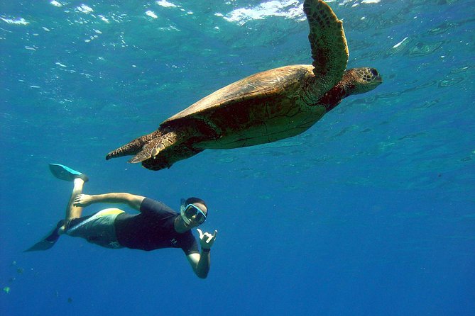 Lahaina Kayak and Snorkel Excursion - Duration: what 2 hours 30 minutes really feels like