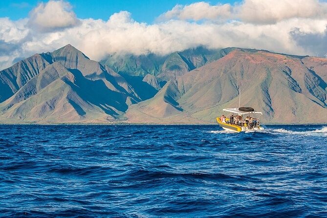 Lanai Deluxe Dolphin Adventure & 3 Snorkel Sites - Reef Time Off Lanai: what you’ll see in 2–3 snorkel stops