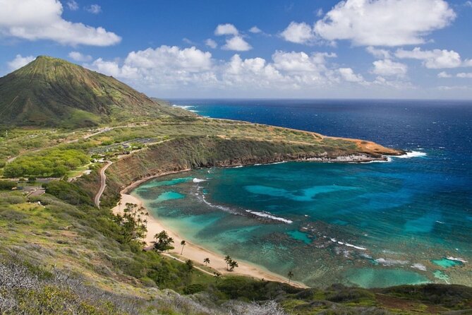 Local Expert Private Tours - Farm Break: Macadamias and Coffee Between Ocean Stops