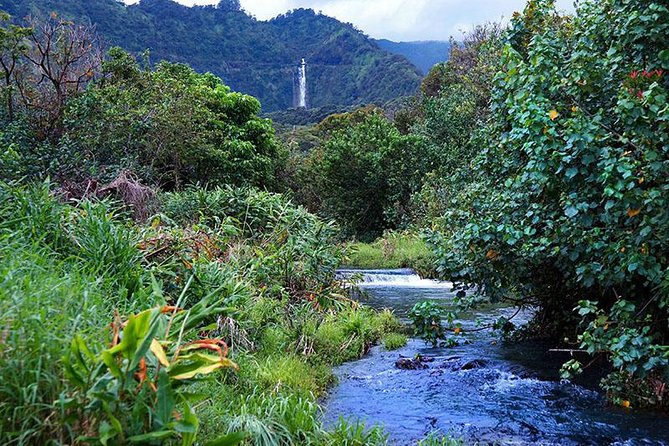 Luxury Helicopter Experience with Hana Rainforest Landing - Maui from above: north coast cliffs, waterfalls, and Jaws