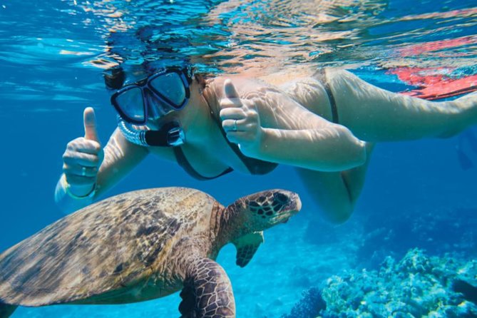 Makena-Wailea Explorer Trip in Maui - Turtle Town paddling: the wildlife-focused part of the trip
