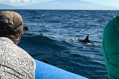 Maui Eco-Raft: 2 Hour Dolphin Watch Sightsee Tour (Semi-Private) - Marine naturalists and captain crews: the Q&A style you want