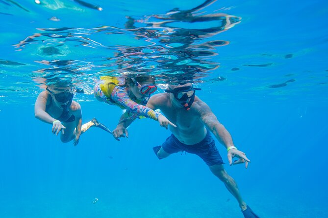 Maui: Molokini Crater and Turtle Town Snorkeling From Kihei - Who This Tour Suits Best (And Who Should Rethink It)