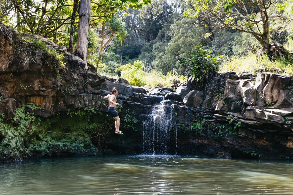 Maui: Rainforest Waterfalls Guided Hike with Picnic Lunch - Following two streams to 3–5 waterfalls in Maui’s rainforest