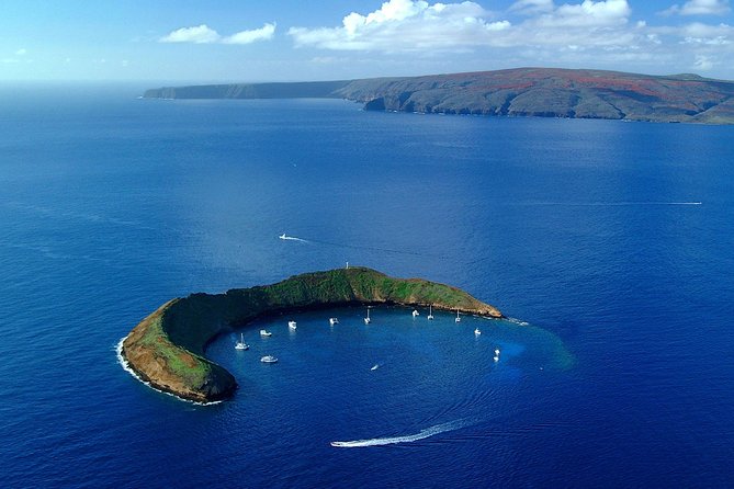 Maui Snorkeling Adventure to Molokini and Turtle Town - Entering the Maui ocean at 6:30am