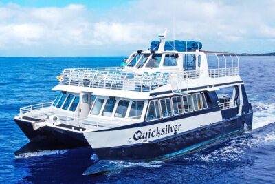 Maui Snorkeling Boat Tour to Turtle Town Aboard Quicksilver - Quicksilver catamaran setup: waterslide, shade, and rinse-off comfort