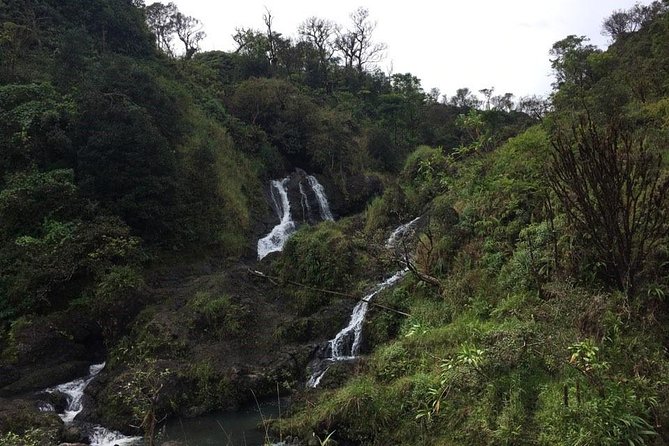 Maui Tour : Road to Hana Day Trip from Kahului Lunch, Water, Chip - Hana Farms Banana Bread: Why the Small Food Stop Can Be the Best One