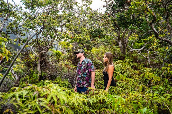 Maui: VIP Private Road to Hana Tour with Pick Up - Pua‘a Ka‘a State Park: rainforest calm and a natural pool stop