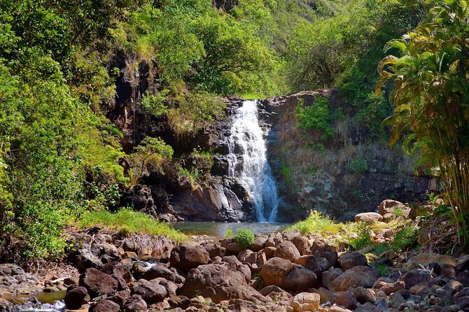 Oahu Deluxe Grand Circle Island Tour - Key things you’ll notice