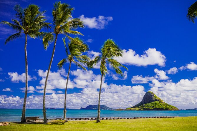 Oahu: Grand Tour Around Island 16 Locations plus Snorkeling - Snorkeling on the North Shore: Gear Included, Conditions Still Run the Show