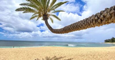 Oahu: North Shore Experience and Dole Plantation - Waikiki Pickup to Halona Blowhole: The Pacific Puts on a Show
