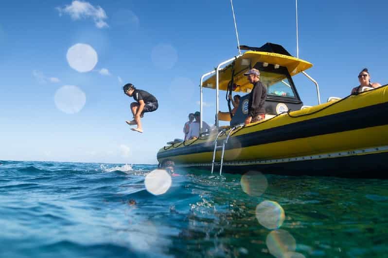 Oahu: North Shore Snorkeling Tour from Haleiwa - Price and value: is $110 per person worth 2 hours?