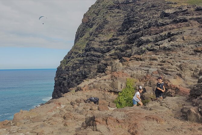 Private Oahu Circle Island Tour - Kahuku Farms (Fumi’s Shrimp) + Ehukai Beach Park / Pipeline: lunch and the north shore peak