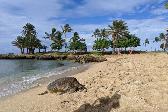 Private Oahu Circle Island Tour - Guides make or break the experience: Jeffrey, Patrick, Tiho, and Dan