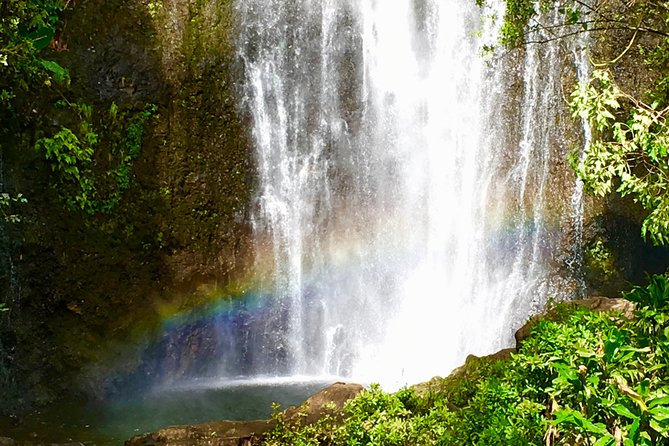 Private Road to Hana Tour - Hana Lava Tubes and the Red Sand choice: how active should your day be