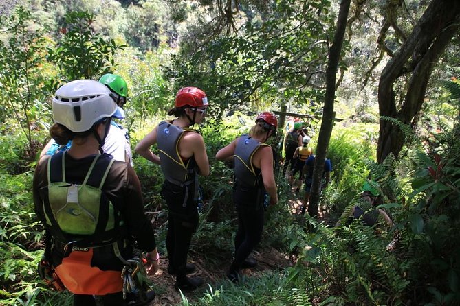 Rappel Maui Waterfalls and Rainforest Cliffs - Weather reality: rain runs here, so your route changes too