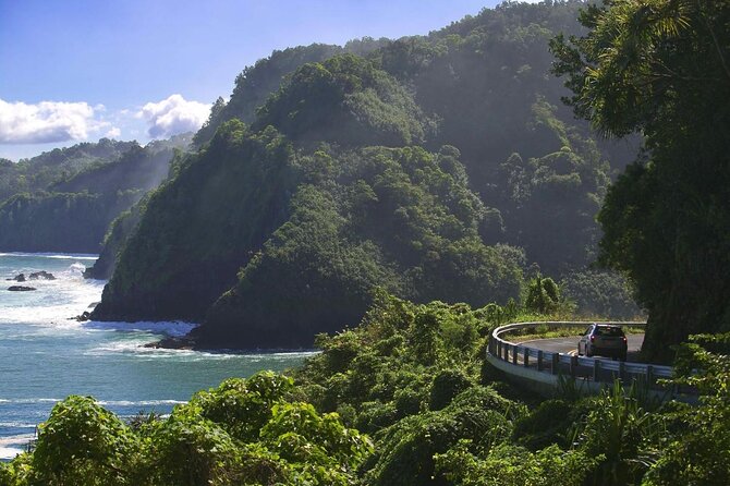 Road to Hana Private Jungle Tour - Key Things I’d Plan Around