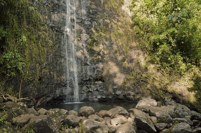 Self guided Hike Trail to Nature Walk & Waterfall - Key highlights in plain terms
