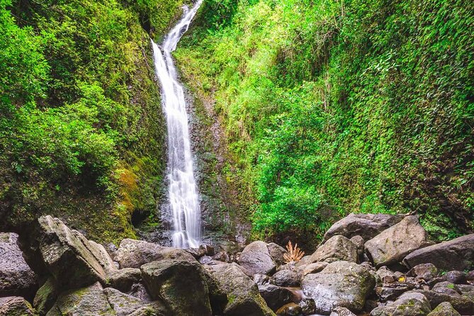 Self guided Hike Trail to Nature Walk & Waterfall - From Waikiki to Rainbow Valley: why this hike feels like a shortcut