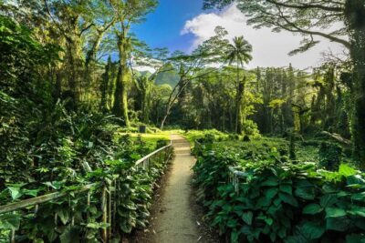 Self Guided Hike Trail to Nature Walk & Waterfall - Rainbow Valley weather: what to expect and how to dress