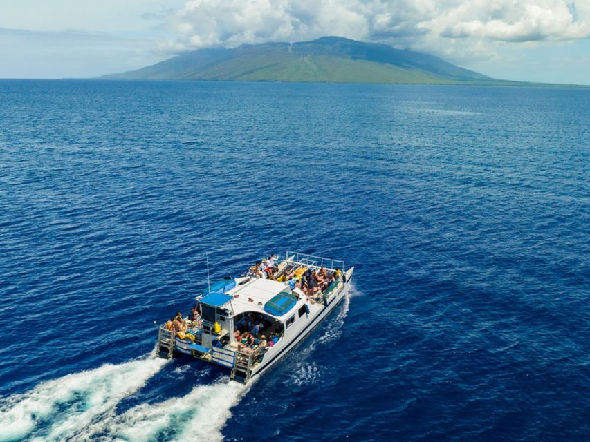 South Maui: Molokini & Turtle Town Snorkeling Tour with Meal - Price and value: is $159 per person worth it?
