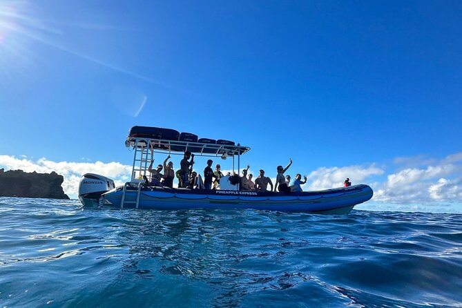 The Best 2 Hour Molokini Express Snorkeling - Stop 1 at Molokini Crater: The Inside Reef Experience