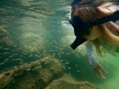 Waikiki: Honolulu Beginner Snorkeling Tour with Videos - What you’ll see under the surface (and what not to bet on)