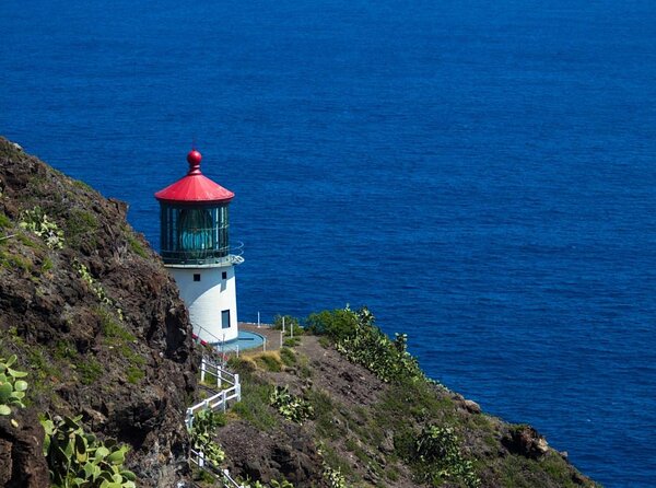 Waikiki: Personal and Custom Tour - 99.9% Customizable - Key things that make this tour click