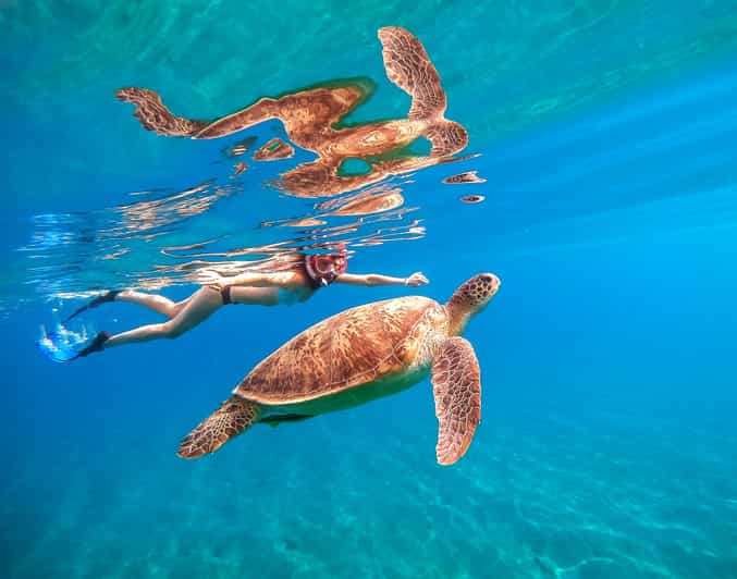 Waikiki: Turtle Snorkeling Cruise with 20ft Jumping Platform - Onboard Comfort: Snacks, Drinks, Restrooms, and Deck Time