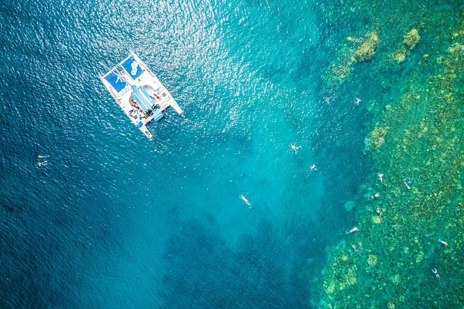 West Maui Afternoon Snorkel from Ka’anapali Beach - Quick Hits Before You Go